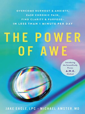 cover image of The Power of Awe